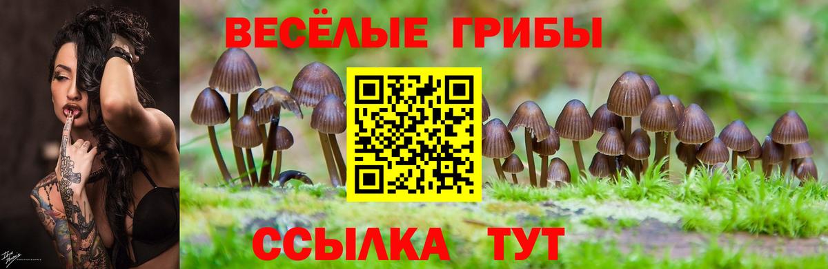 Галлюциногенные грибы Magic Shrooms  Вход с VPN  Псилоцибиновые грибы Magic Shrooms  закладки  Лабинск 